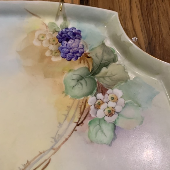 Limoges Hand painted fruit and leaf pattern French porcelain tray/wall hanging - Picture 6 of 9